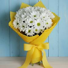 Букет цветов из:  Хризантемы в Медногорске