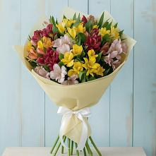Букет цветов из:  Альстромерии в Медногорске
