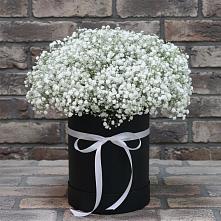 Цветочная композиция из Гипсофила в шляпной коробке в Медногорске