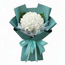Букет цветов из:  Гортензия в Медногорске